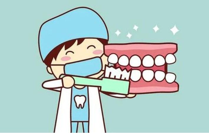 局部活动义齿价格实惠吗?性价比分析帮你决策