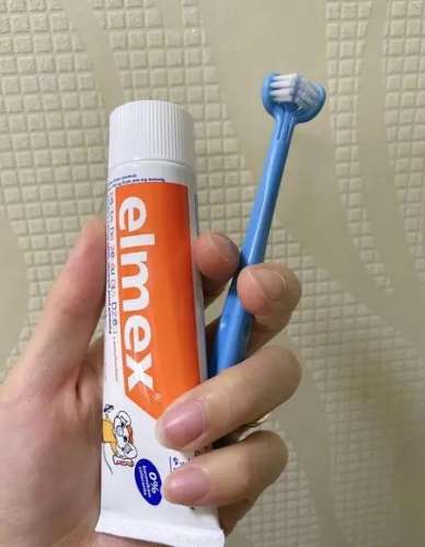 到底该用冷水还是热水刷牙？